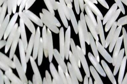 Super Kernel Basmati White