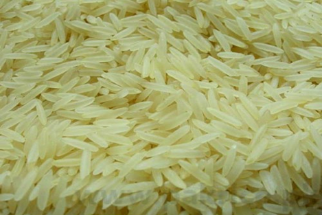 Super Kernel Basmati Golden Sella