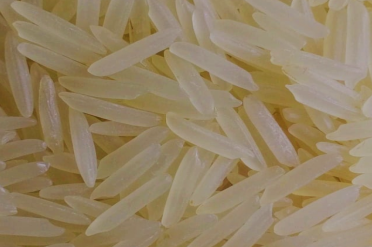 1121 Basmati Golden Sella